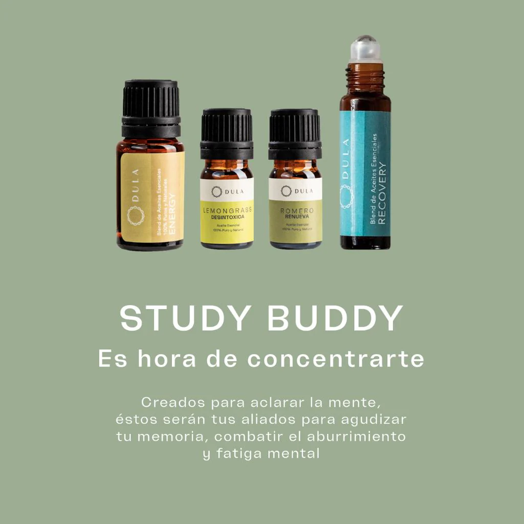 Wellness Box: Study Buddy - Image 3
